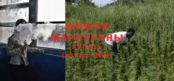 индика Лагань