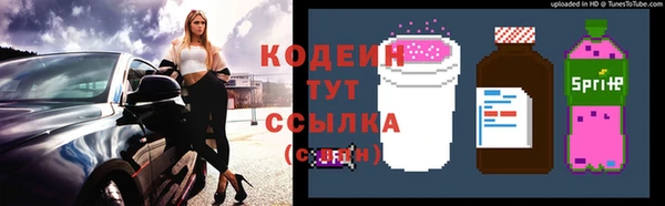 соль ск Ладушкин