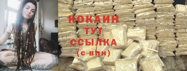дживик Железногорск-Илимский