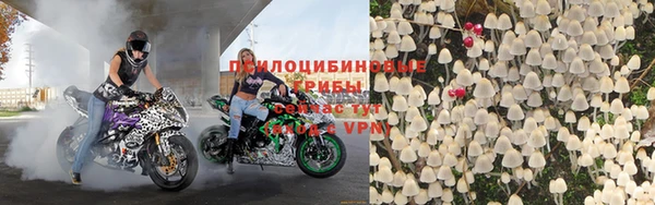 соль ск Ладушкин