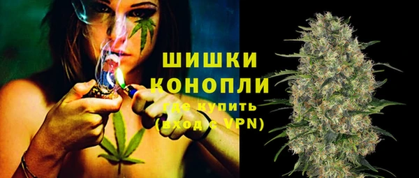 индика Лагань