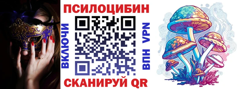 Галлюциногенные грибы Psilocybine cubensis  Онега 